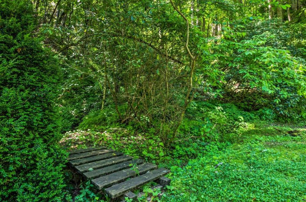 Nantahala Cabins